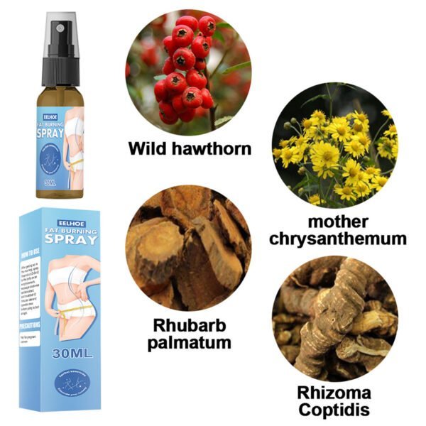 Full Body Qu Fat Slimming Body Shaping Spray - Image 3